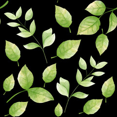 Watercolour leaves seamless pattern on black background