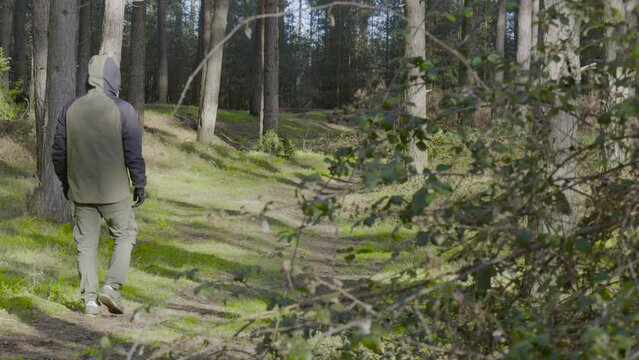 Static shot of back of a man walking through narrow path through Thetford forest, Norfolk, UK on a sunny morning.