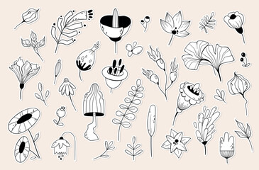 Flowers, leaves, branches and berries hand drawn outline sticker pack, floral botanical isolated black and white clip arts, natural doodle lements for invitations, cards, blogs, vector bundle