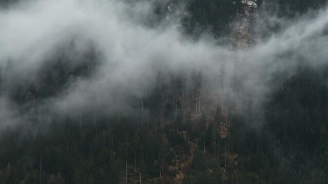 un bel timelapse di nuvole nel bosco, nuvole sul bosco innevato che si spostano con il vento