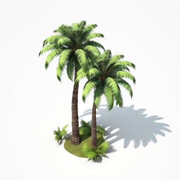 Palm trees, beautiful cartoon illustration, isometric diorama isolated on white background.  Generative art	