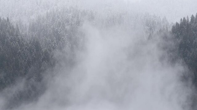 un bel timelapse di nuvole nel bosco, nuvole sul bosco innevato che si spostano con il vento