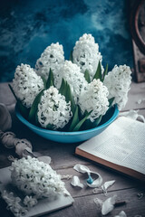 Blue hyacinths against a blue wooden background