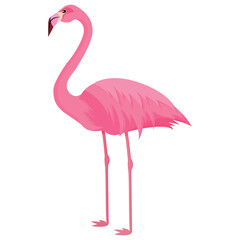 Vector cartoon image of a flamingo. The concept of recreation, travel and the beach. Colorful elements for design.