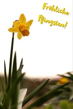 Pfingsten / Videos / Video / Social Media / Soziale Netzwerke / Fr&ouml;hliche Pfingsten / Sch&ouml;ne Pfingsten / Pentekoste / Pfingstfest / Christlich / Kirche / Fest / Feiern / Feiertag