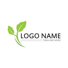 Tree logo icon vector illustration design.Vector silhouette of a tree templates of tree logo and roots  tree of life design illustration