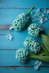 Blue hyacinths against a blue wooden background