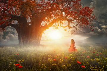 Young woman in red walking towards the sun in summer field with flowers and large tree with...