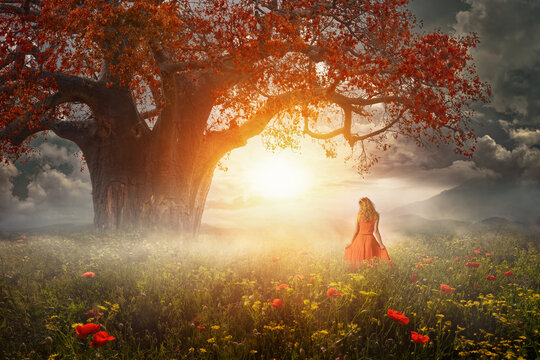Young woman in red walking towards the sun in summer field with flowers and large tree with mysterious nebula against backdrop of mountains. Fantasy photo manipulation and dream emotions