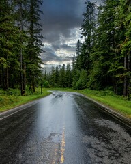 Vertical shot of a highway road between trees with a stormy sky in the background