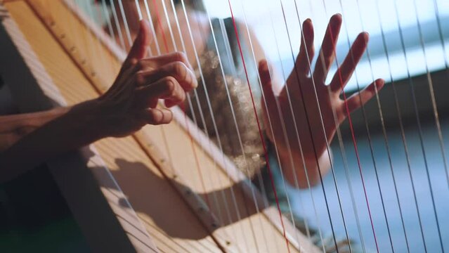 A girl plays a harp, a performance of a musician with a harp
