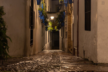 Night streets of Cordoba (Cordova), Andalusia, Spain.