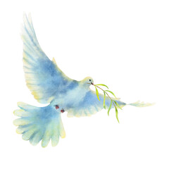 Watercolor illustration of flying dove with olive branch isolated on a white background.