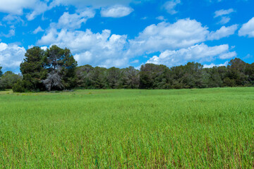 Beautiful landscape next to a hiking trail