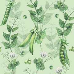 Seamless pattern with watercolor peas. Hand drawn vector illustration of green Pea. Set of fresh organic product. Background for wrapping paper, label and packaging.