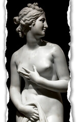 Creative picture of Venus statue - classical statue of young beautiful woman