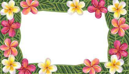 Banner frame frangipani plumeria flowers with leaves. Jungle tropical exotic foliage. Hand-drawn watercolor illustration isolated on white background. For design logo card poster label invitations
