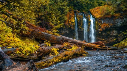 Beautiful waterfall with broken trees in the front in a forest