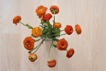 Paris, France - 04 16 2023: Bouquet of orange ranunculus flowers on a yellow and white background.