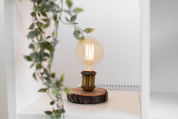 Close up view of vintage light bulb on wooden base being placed inside open white bookcase with hanging plant in blurred foreground. Table lamp in contemporary style giving warm glow in home interior.