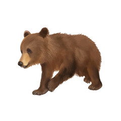 baby brown bear with style hand drawn digital painting illustration