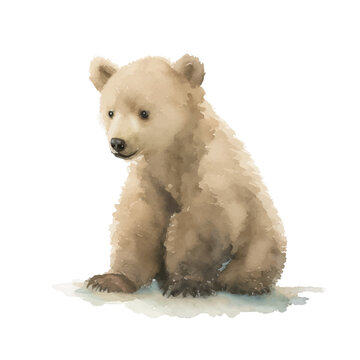 baby polar bear with style hand drawn digital painting illustration