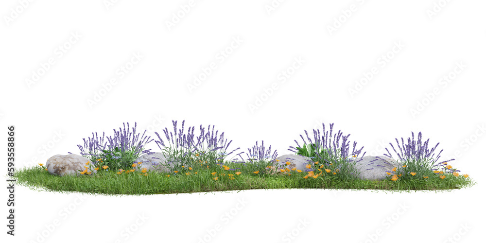 Poster group of forest grass and flowers on transparent background 3d rendering png