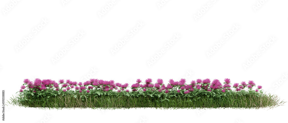 Poster green grass and flower fields on transparent background 3d rendering png