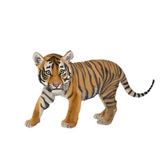baby tiger with style hand drawn digital painting illustration