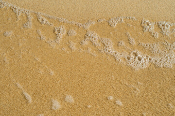 A thin layer of clear water over the sand. A seaside or ecology-themed background with clear sea water over a sandy bottom.