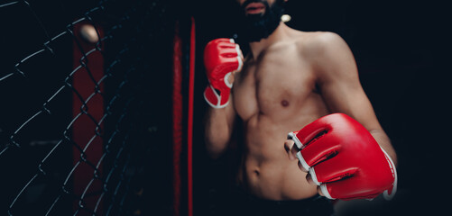 Sport MMA banner. Boxers fighter in ring octagon, dark background spot light