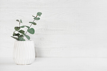 Eucalyptus branch in a Stylish Ceramic Vase on a Table. Detail of Contemporary Cozy Interior. Blank Space for Text on Wooden Wall. Nordic Background. Minimalistic Scandinavian Style. Empty Mockup