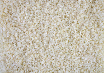 Background from round polished rice. copy space.
