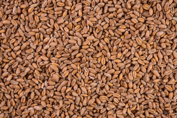 Wheat grains background, seeds texture, top view
