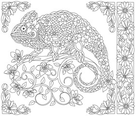 Floral chameleon lizard. Adult coloring book page with fantasy animal and flower elements.