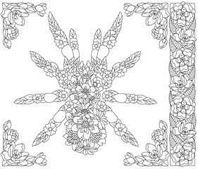 Floral spider. Adult coloring book page with fantasy animal and flower elements.
