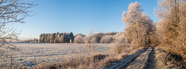 Rural road and field covered with hoarfrost against a blue sky. Country landscape.