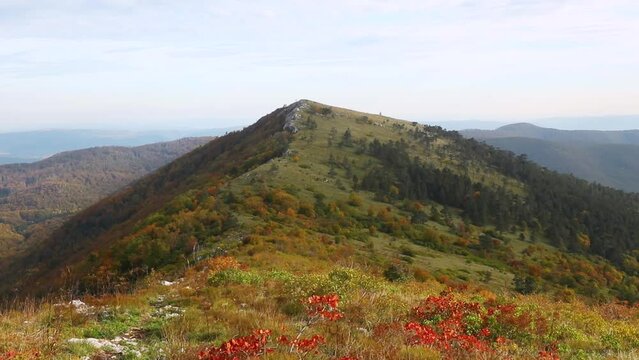 Mesmerizing footage of the Domogled-Valea Cernei National Park in Romania