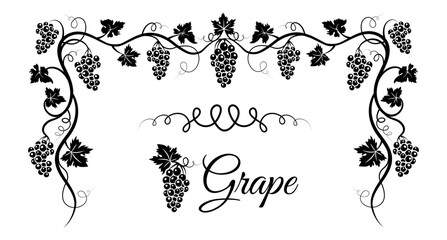 Branch with grape silhouette illustration isolated on white background, vector.