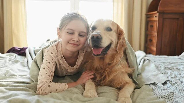 Cute child girl hugging golden retriever dog in bed under blanket in morning and smiling. Beautiful preteen kid petting purebred pet doggy labrador covered with pleid at home