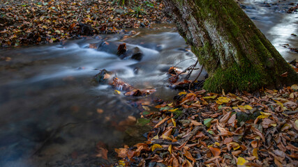Stream in the forest. Long exposure. Wonderful freshwater streams waterfalls flowing into the river. 7 Lakes Bolu, Türkiye.