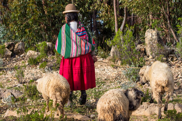 Shepherness with her sheep on the Isla del Sol, Copacabana, Bolivia.