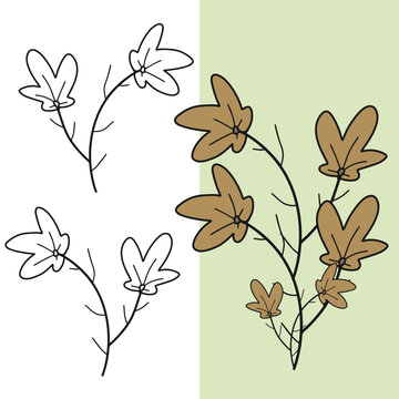 Hand drawn withered flower vector illustration
