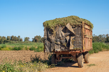 Imagen de la parte trasera de un viejo remolque agrícola cargado de forraje.
