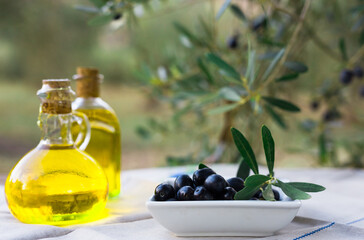 olive oil in a glass bottle and green olives on the background of olive branches in the garden