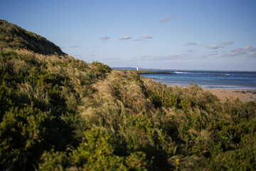 Fototapeta na wymiar Griffiths Island Lighthouse in Port Fairy, Victoria, Australia