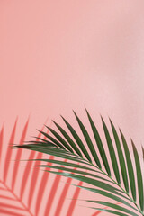 Palm leaves on pink background. Flora  wallpaper backdrop.
