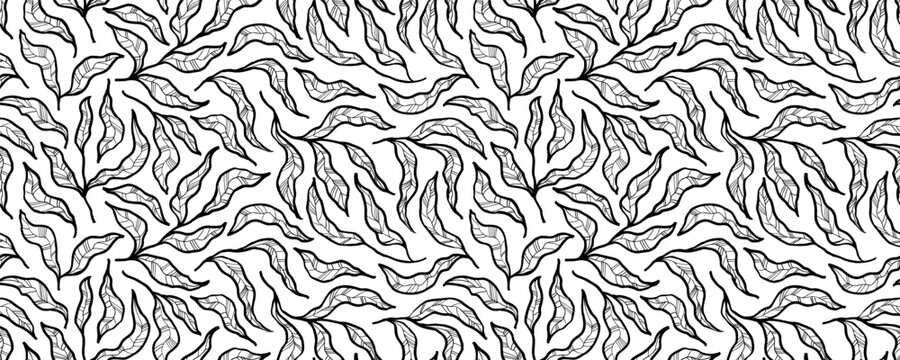 Abstract outlined leaves and branches seamless pattern. Vector exotic foliage drawn with thin brush. Botanical seamless banner with stylized leaves with veins. Tropical black and white ornament.