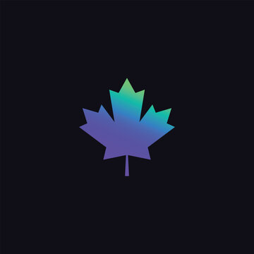 Colored and proportional plane leaf drawing. Vector