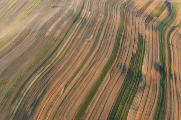 Aerial view of ornaments of green fields and houses arranged in a line along the road